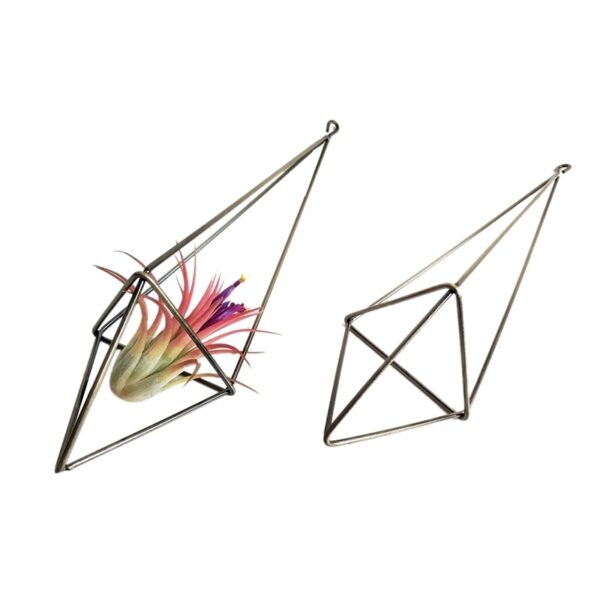 Set of 3 Hanging Air Plant Holders - Image 2