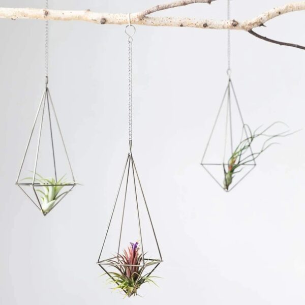 Set of 3 Hanging Air Plant Holders - Image 6